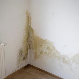 Rising Damp Solutions